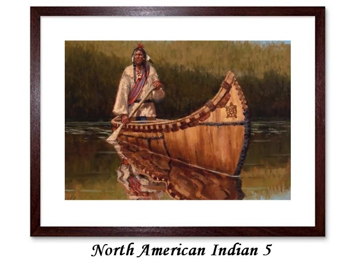 North American Indian Framed Prints